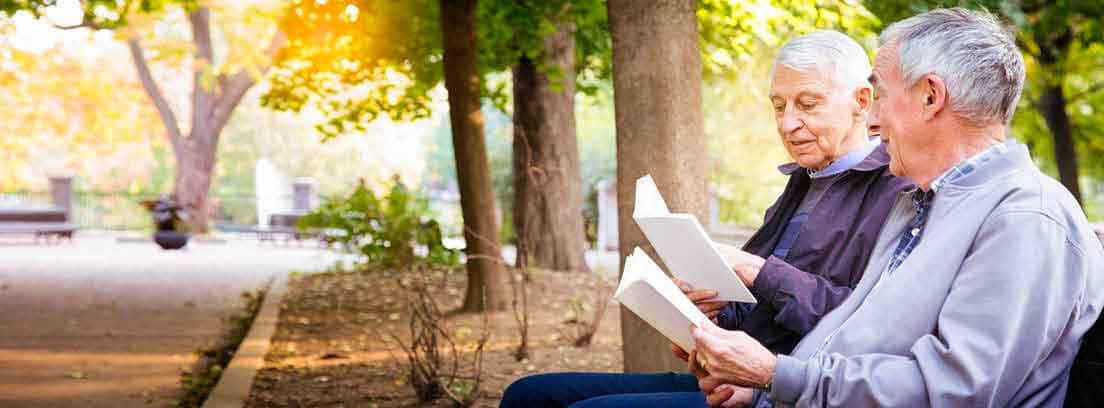 Hombres mayores leyendo libros en el parque
