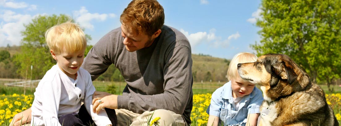 Hombre, dos niños y un perro sentados en un campo lleno de flores amarillas