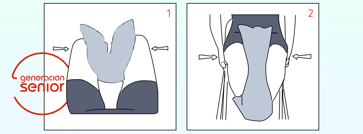 Ilustración de ejercicio contracción de muslos