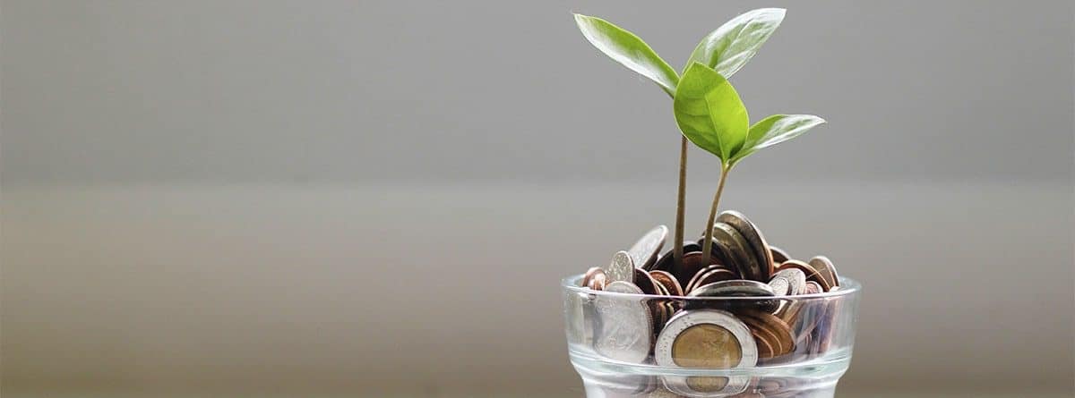 Una planta con moneda a manera de ahorro