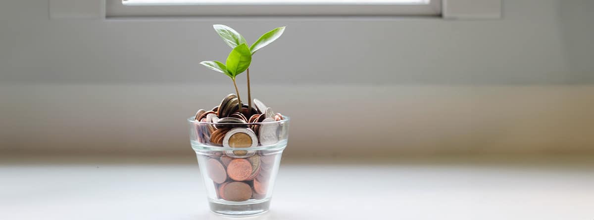 Una planta crece entre monedas en un vaso.