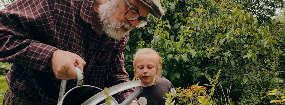 Un hombre mayor y una niña riegan las plantas.